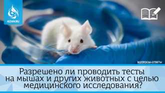Разрешено ли проводить опыты на мышах и других животных?