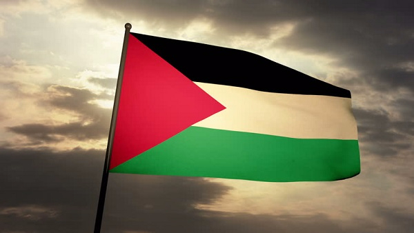 Над городским советом Дублина поднимут флаг Палестины