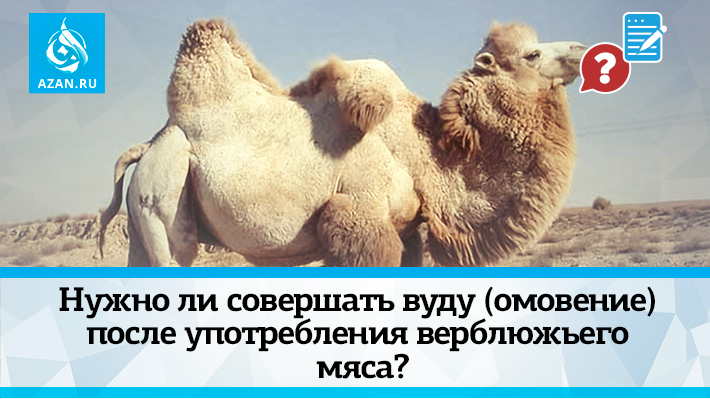 Нужно ли совершать вуду (омовение) после употребления верблюжьего мяса?
