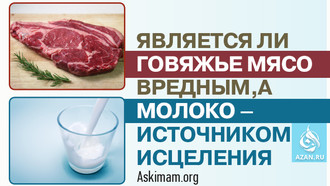 Является ли говяжье мясо вредным, а молоко – источником исцеления?