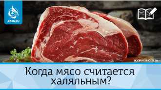 Когда мясо считается халяльным?